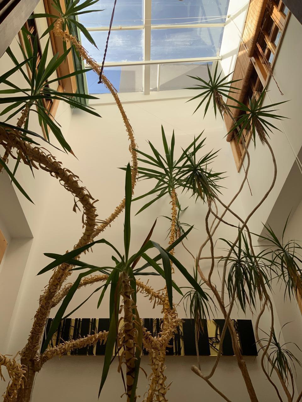 VENTA DE UNA CASA CON ASCENSOR EN BENAVENTE - Image 2