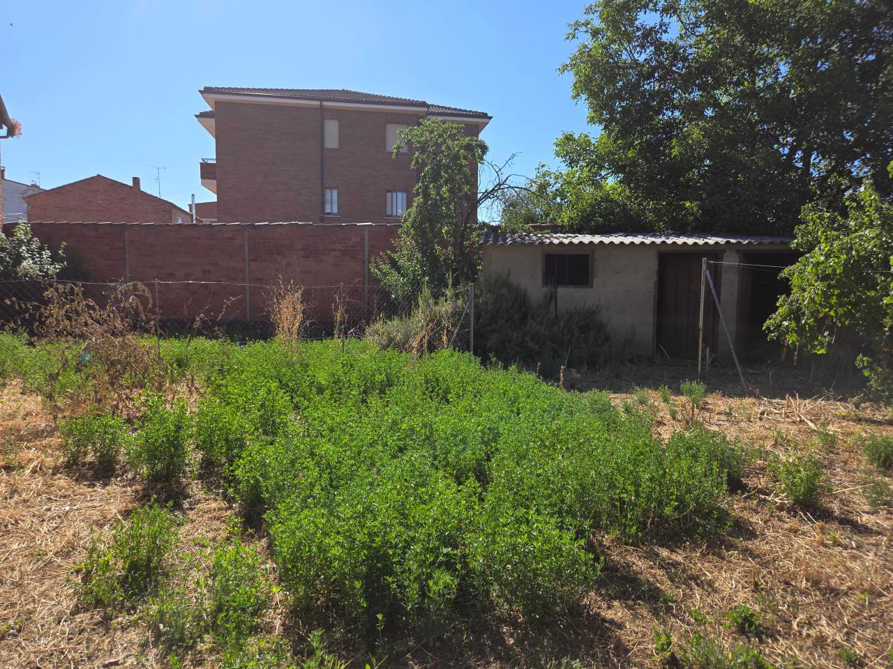 Casa en Calle Miguel de Cervantes 15 (VILECHA) - Image 36