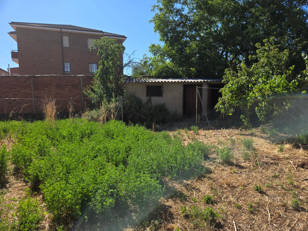 Casa en Calle Miguel de Cervantes 15 (VILECHA) - Image 1