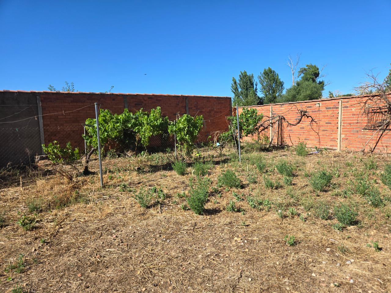 Casa en Calle Miguel de Cervantes 15 (VILECHA) - Image 37