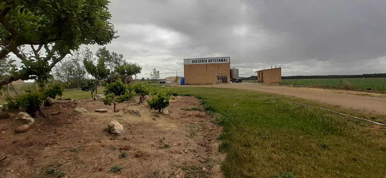 VENTA DE QUESERIA Y VARIOS TERRENOS EN SAN CRISTOBAL DE ENTREVIÑAS - Image 15