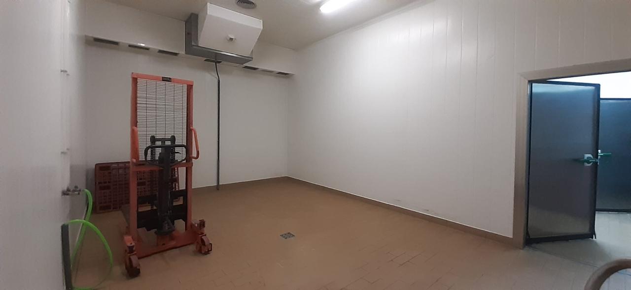 VENTA DE QUESERIA Y VARIOS TERRENOS EN SAN CRISTOBAL DE ENTREVIÑAS - Image 16