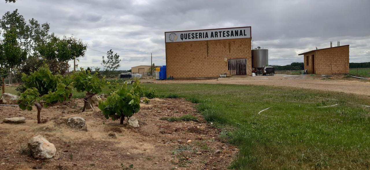 VENTA DE QUESERIA Y VARIOS TERRENOS EN SAN CRISTOBAL DE ENTREVIÑAS - Image 23