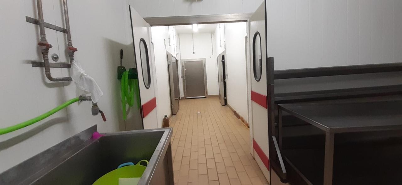 VENTA DE QUESERIA Y VARIOS TERRENOS EN SAN CRISTOBAL DE ENTREVIÑAS - Image 28