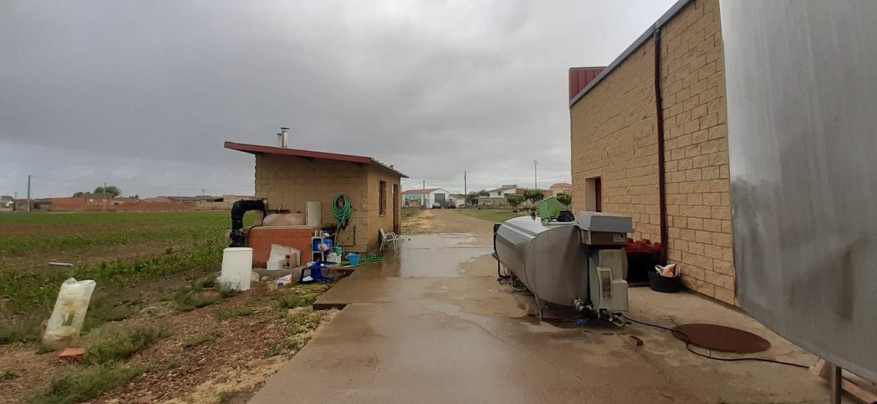 VENTA DE QUESERIA Y VARIOS TERRENOS EN SAN CRISTOBAL DE ENTREVIÑAS - Image 37