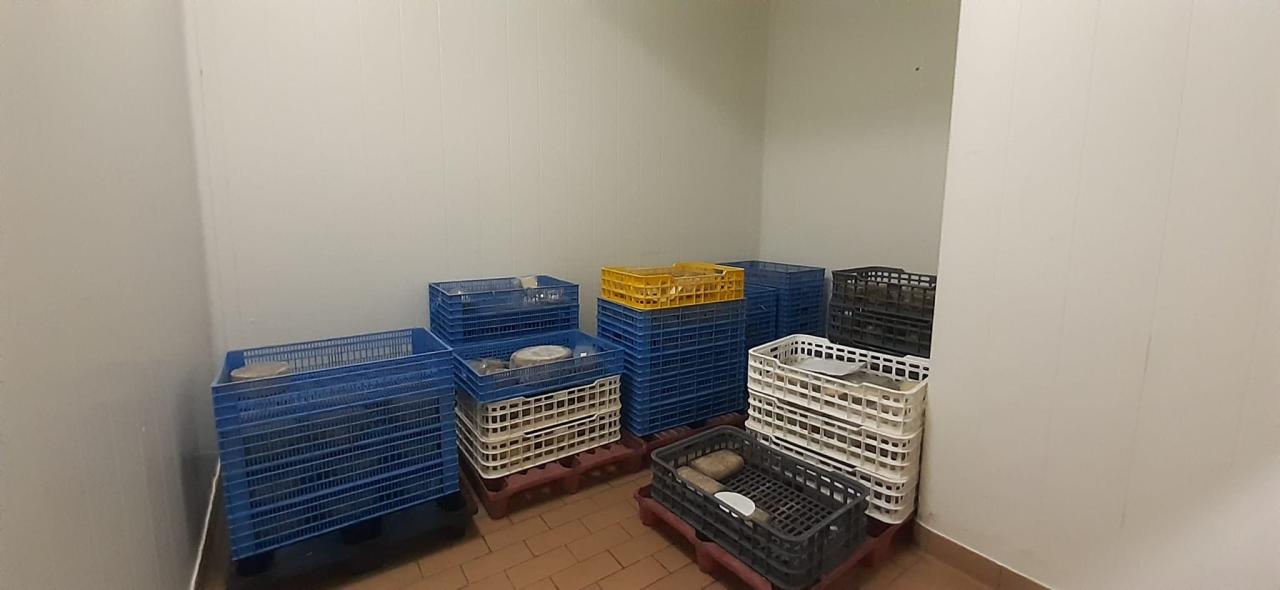 VENTA DE QUESERIA EN SAN CRISTOBAL DE ENTREVIÑAS - Image 13