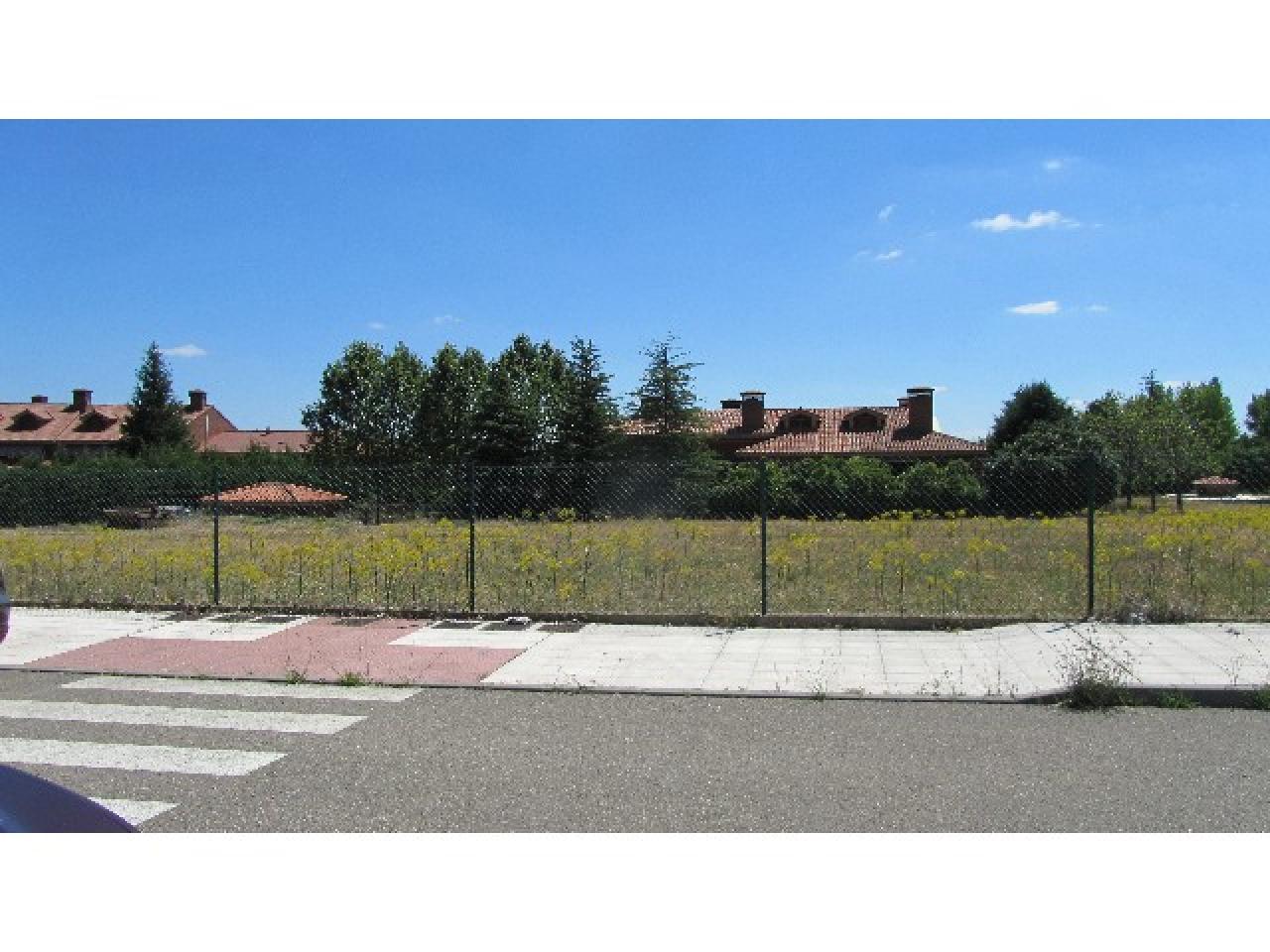 VENTA DE PARCELA EN BENAVENTE, ZAMORA - Image 3