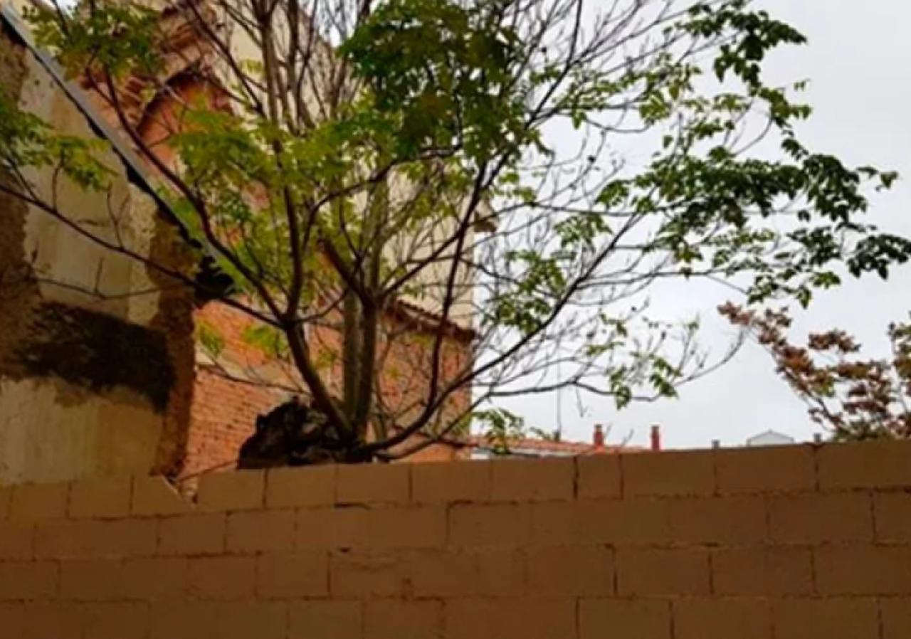 TERRENO EN VENTA EN CALLE REINA, ZAMORA - Image 3